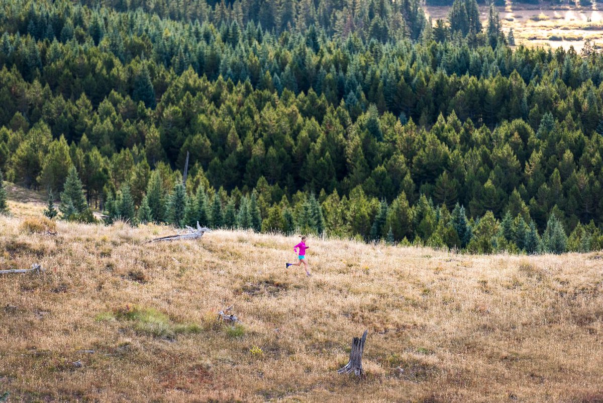 annafrosty's tweet image. Training Packages now available. The 12 week package includes a specific programme for you, two calls with me and a programme update at about 6weeks. @AdventuresRun 📸 @MattTrappe frostysfootsteps.com/coaching-1#ful…