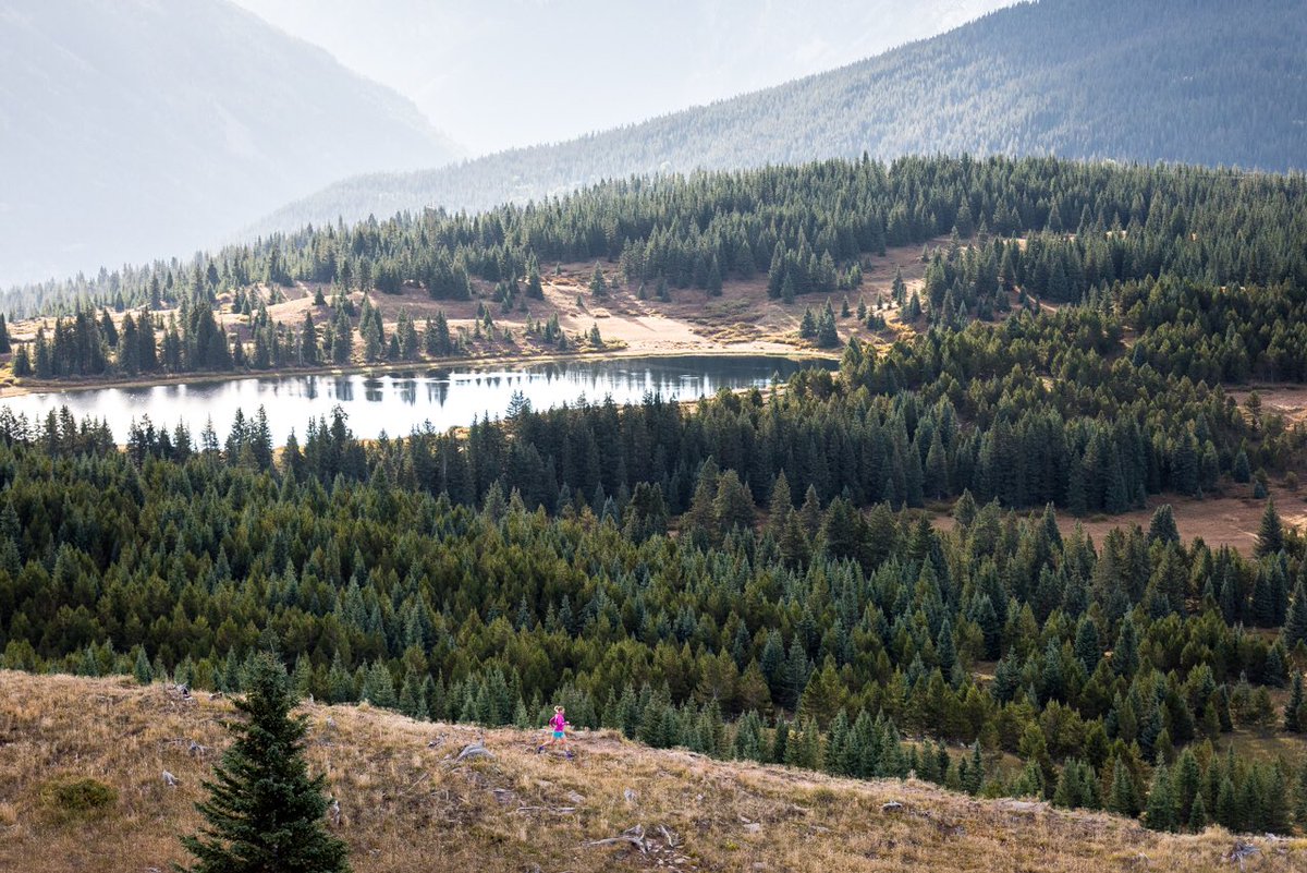 annafrosty's tweet image. Training Packages now available. The 12 week package includes a specific programme for you, two calls with me and a programme update at about 6weeks. @AdventuresRun 📸 @MattTrappe frostysfootsteps.com/coaching-1#ful…