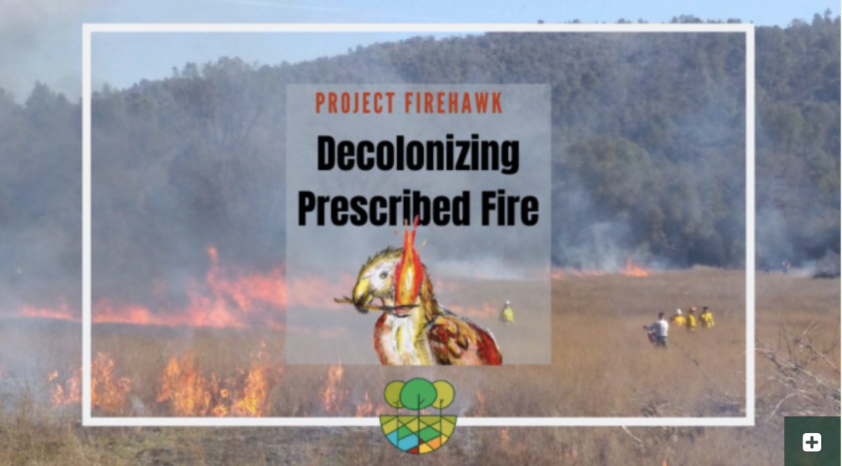 Fantastic article describing colonial underpinnings of fire suppression, need to uplift Indigenous fire management, and actionable places to start. 

Thanks @cxadlam & @DenissJMartinez & #CulturalBurning Practitioners for mentorship behind this work. 

fireadaptednetwork.org/project-fireha…