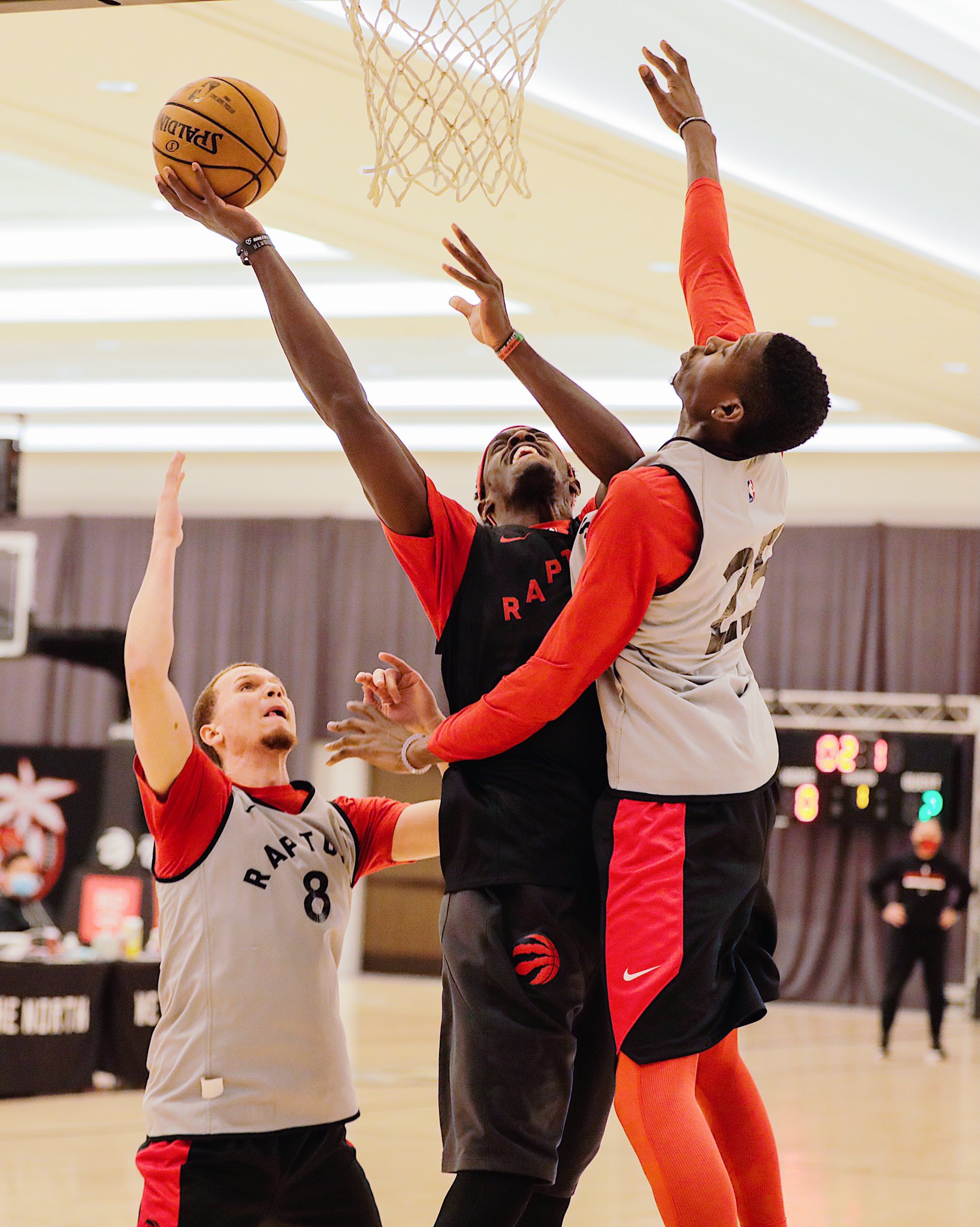 Toronto Raptors Ballroom Days Bellletstalk Toronto Raptors Ballroom Days Bellletstalk