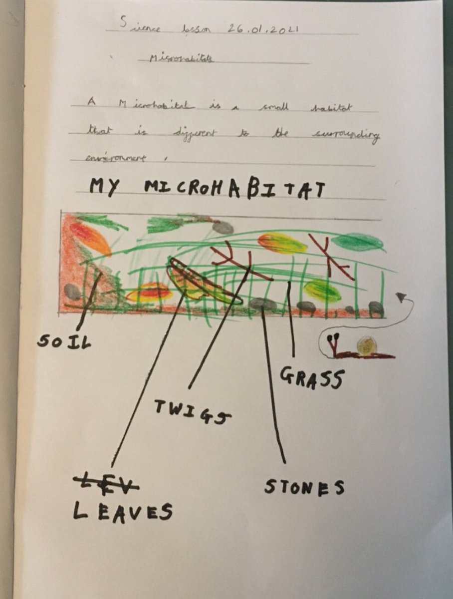 Garbett_HMCS's tweet image. After learning about them in science our Barn Owls have been making their own microhabitats this week! 🕷🪲🐛🦋 @HMC_School @AMarsden_HMCS @OakNational #Phase2HomeLearning #ScienceAtHome #PrimaryScience #HandsOnLearning #Microhabitats #Year2