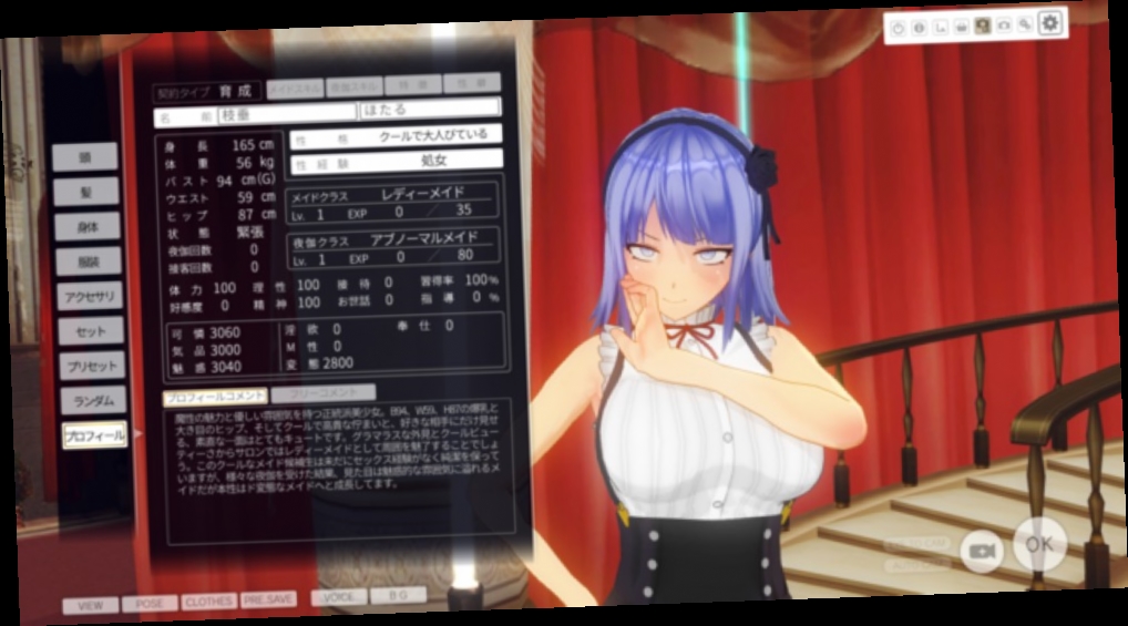 custom maid 3d 2 english not working custom maid 3d 2 english not working
