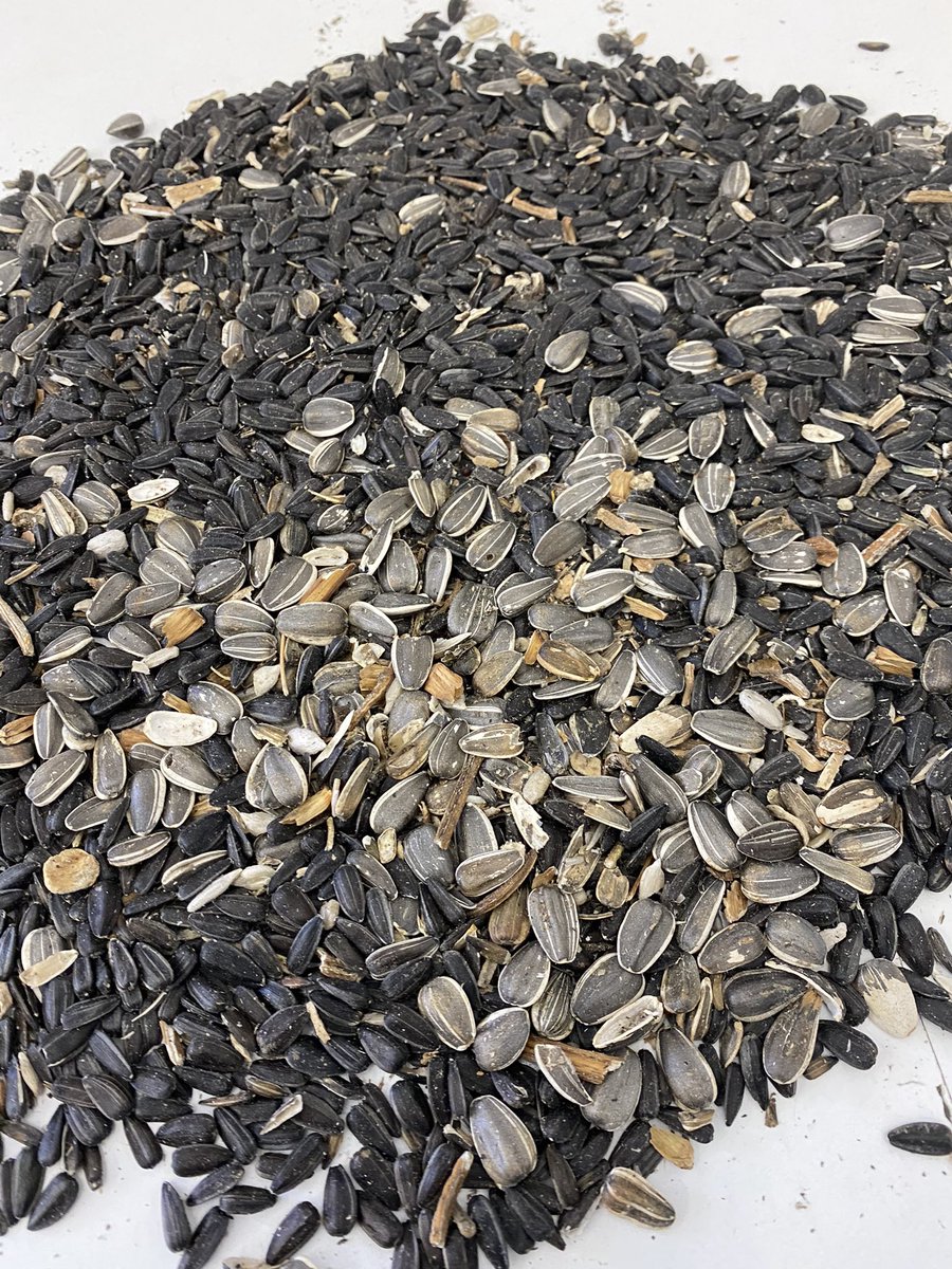 Canada's Grain tweet media