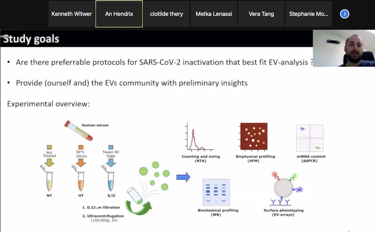 Kenneth W Witwer (he/him) (@kennethwwitwer) on Twitter photo Currently at #ISEVID: <a href="/LabGori/">Alessandro Gori</a> examines how #virus inactivation protocols affect particle/#EV analysis <a href="/MarinaCretich/">Marina Cretich</a> @IsevComms <a href="/IsevOrg/">ISEV</a> #ExtracellularVesicles #SARSCoV2 #COVID19 See also biorxiv.org/content/10.110… Currently at #ISEVID: <a href="/LabGori/">Alessandro Gori</a> examines how #virus inactivation protocols affect particle/#EV analysis <a href="/MarinaCretich/">Marina Cretich</a> @IsevComms <a href="/IsevOrg/">ISEV</a> #ExtracellularVesicles #SARSCoV2 #COVID19 See also biorxiv.org/content/10.110…