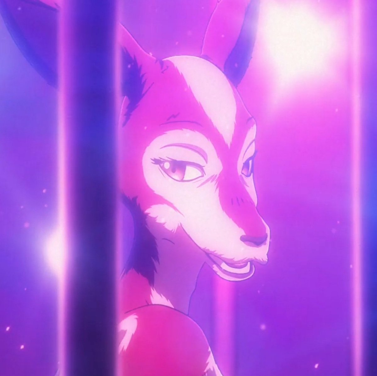 TheMistyKoala's tweet photo. Today i am posting something a little different, This morning i watched season 2 episode of Beastars and got inspired to make a little edit of Cosmo the Okapi💞

#Beastars #beastarsseason2 #beastarsseason2edit #beastarscosmo #beastarscosmoedit #furry #BeastarsSpoilers https://t.co/Tal8lvp5t5