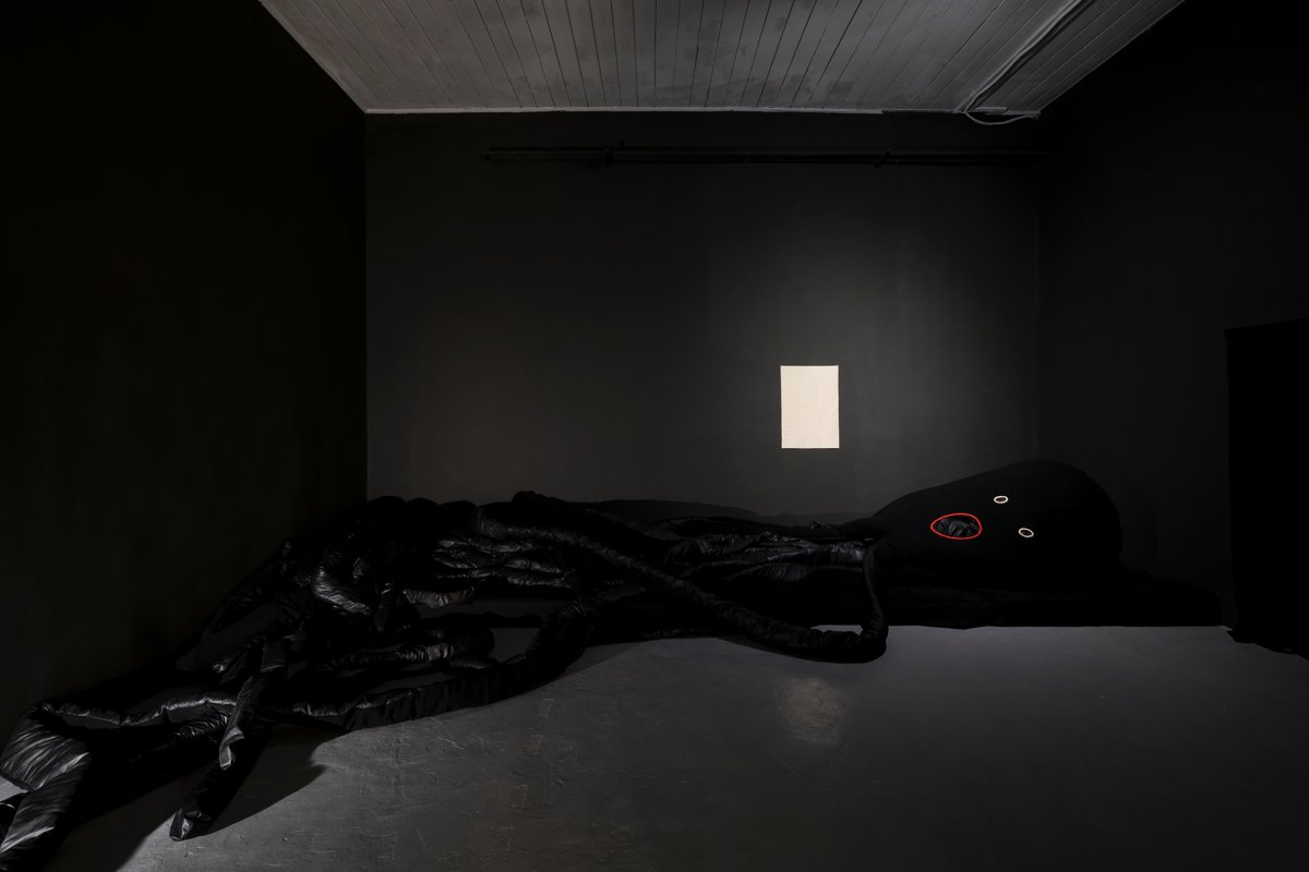 MeetFactory's tweet image. Nový výstavní projekt Evy Koťátkové skrze tři monumentální instalace představuje spektrum úhlů pohledu na problematiku normativity a s ní spojenou diskriminaci a strach z jinakosti. bit.ly/Rozhovory_s_mo… #EvaKotatkova