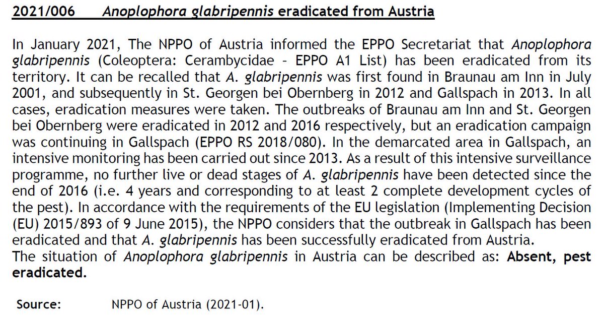albtweets's tweet photo. After 2 decades, Asian longhorned beetle has been declared eradicated from Austria. @EPPOnews https://t.co/foGHbqp8O8