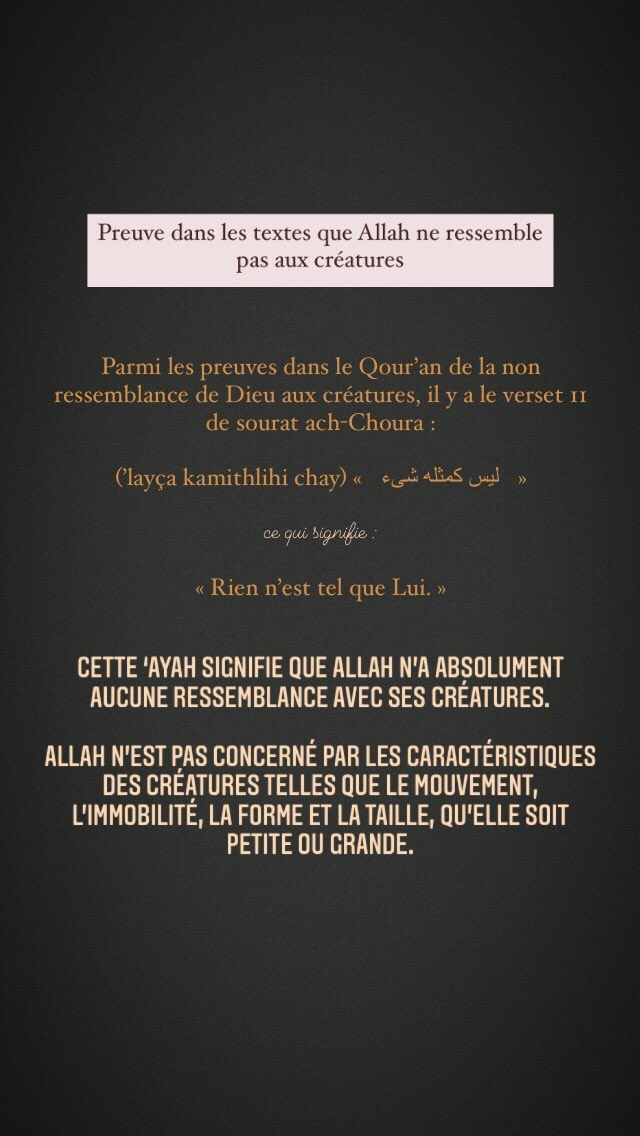 Le Tawhid, selon Ahlou s-Sounnah, consiste à nier toute ressemblance entre Allah et Ses créatures. Allah n’a absolument aucune ressemblance avec quoi que ce soit, d’aucune manière que ce soit.Le Tawhid c'est de faire l'absolu distinction entre Le Créateur et Ses créatures.