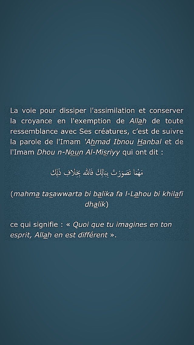 Le Tawhid, selon Ahlou s-Sounnah, consiste à nier toute ressemblance entre Allah et Ses créatures. Allah n’a absolument aucune ressemblance avec quoi que ce soit, d’aucune manière que ce soit.Le Tawhid c'est de faire l'absolu distinction entre Le Créateur et Ses créatures.