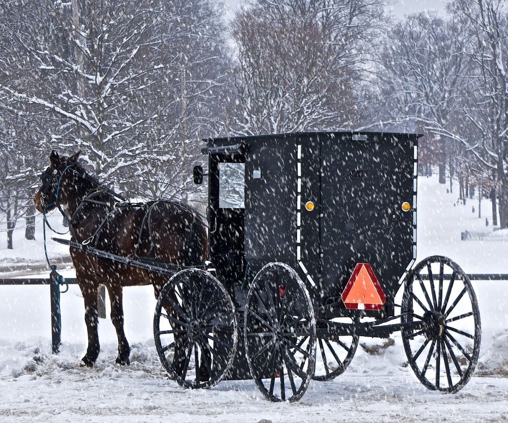 DiabeticHorsey's tweet photo. Still too cold out to take the top off my whip. https://t.co/B59yPZMVId