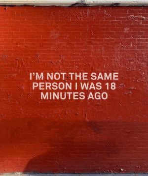 🍯 tweet media