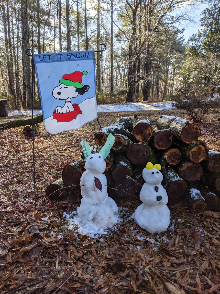 Hello Hillandale! At the Masinick house, we used the little snow on our car to create these guys between classes. Other items used: pretty red leaf, 2 acorns, 4 rocks, 4 sticks, a broken baseball bat, and one egg.
Hope your family finds a little joy in the snow today!