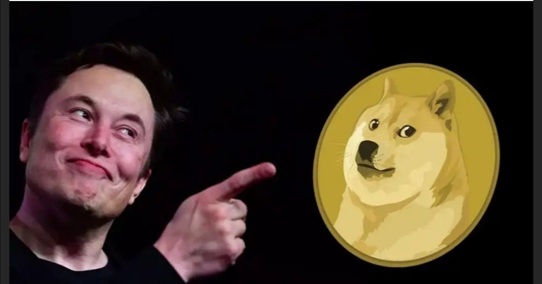 EmirMulayim's tweet photo. @StealthEX_io @dogecoin Doge 🔥🌪️ https://t.co/ihamO9V4kX