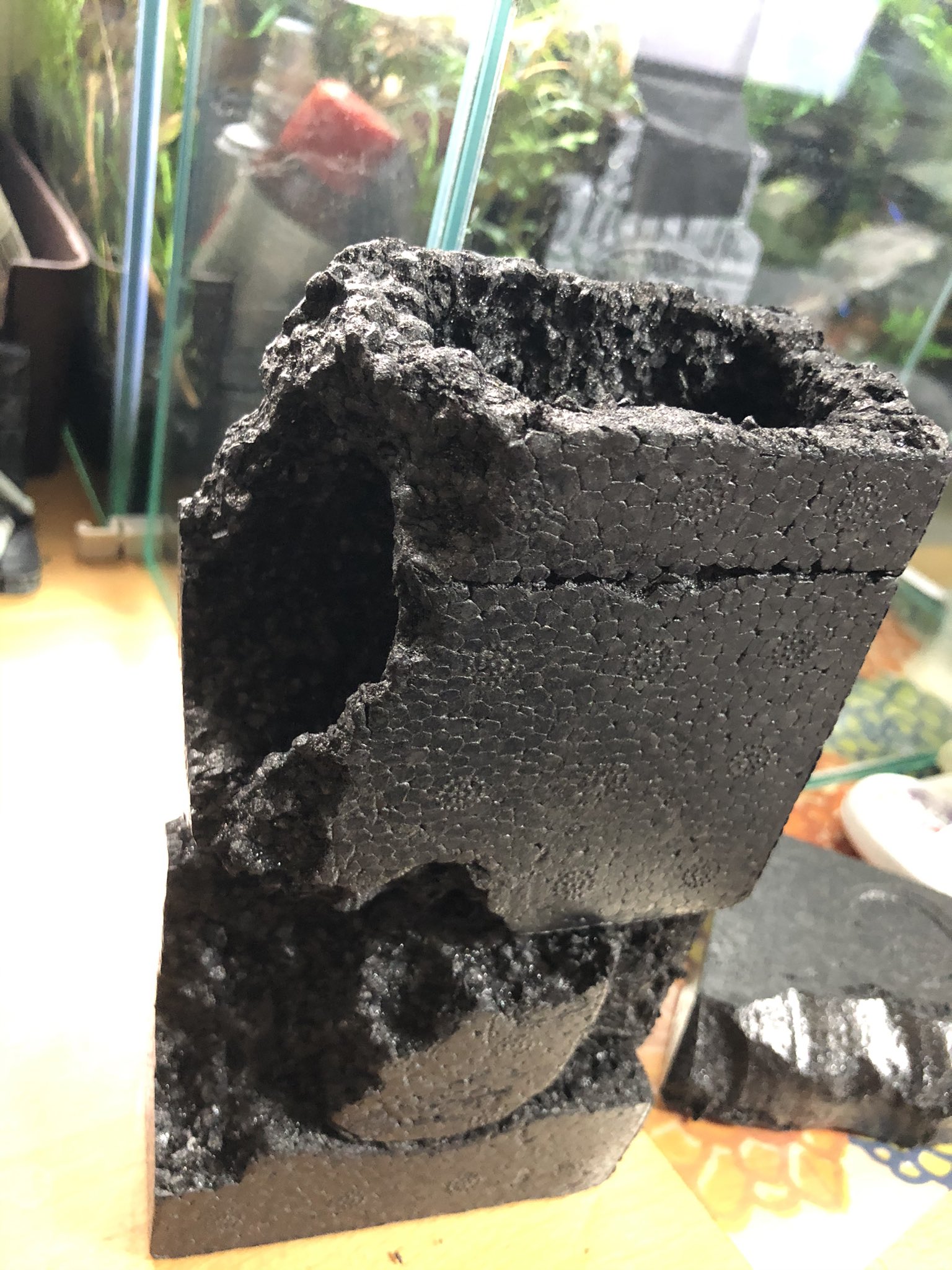 Moss 制作過程 土台は発泡ブロック ボード 遺跡は石粉粘土で造形してアクリル絵の具で塗装 水はけと保水に水苔と軽石 ゼオライト 土 ケト土 ピートモス ソイル 植生 ホソバオキナゴケ 南米ウィローモス クッションモス ソレイロリア オーストラリア