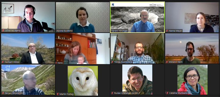 Congratulations! Alyona Koshkina just passed her PhD viva on #steppe #marmots  and ground squirrels in Kazakhstan. Great talk linking remote sensing and fieldwork in project #BALTRAK. No drinks, but a chance for colleagues and guests from across Eurasia to participate virtually!