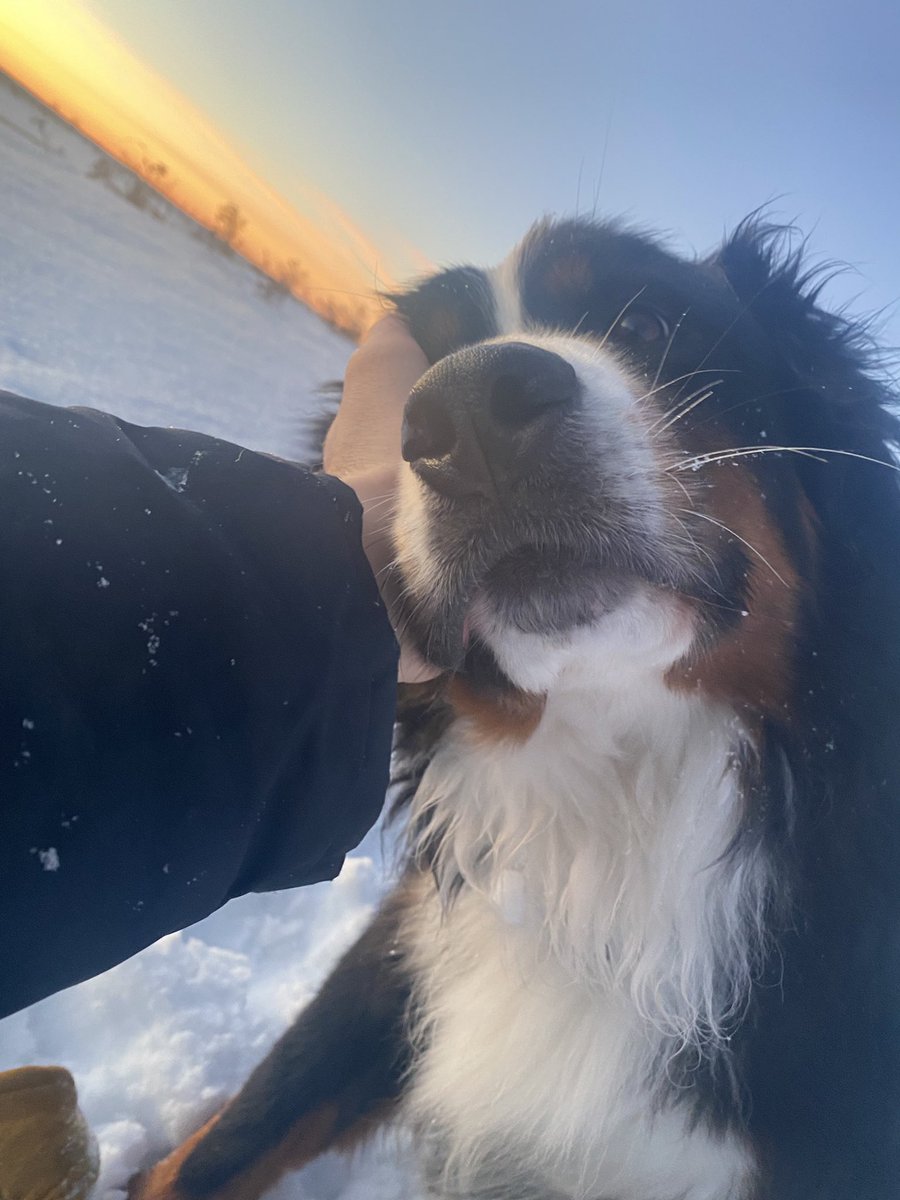 bunsenbernerbmd's tweet photo. If you are not doing ok, it’s ok.
There is nothing wrong with you.
You are loved.  You matter.
Talk to your family.
Talk to your friends.
Talk to your pets.
Talk to professionals.
It’s ok not to be ok.  
With help, things will become more ok
#BellLetsTalk #BellLetsTalkDay https://t.co/WkeoIbdARu