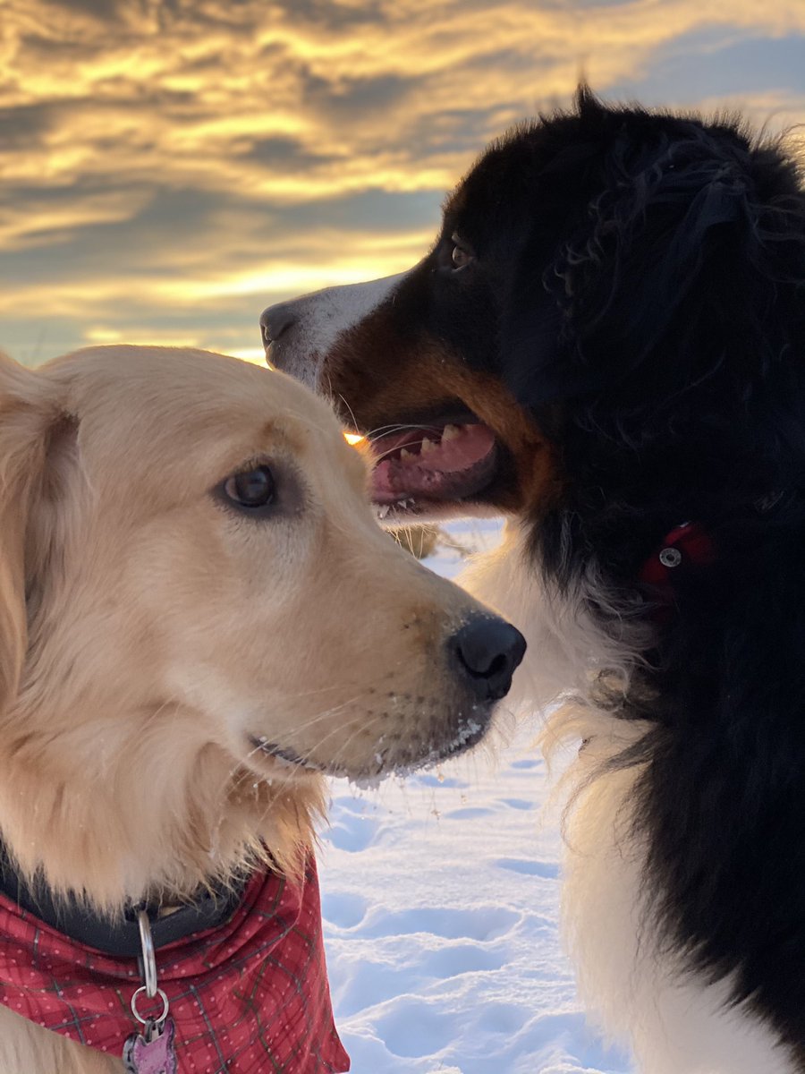 bunsenbernerbmd's tweet photo. If you are not doing ok, it’s ok.
There is nothing wrong with you.
You are loved.  You matter.
Talk to your family.
Talk to your friends.
Talk to your pets.
Talk to professionals.
It’s ok not to be ok.  
With help, things will become more ok
#BellLetsTalk #BellLetsTalkDay https://t.co/WkeoIbdARu