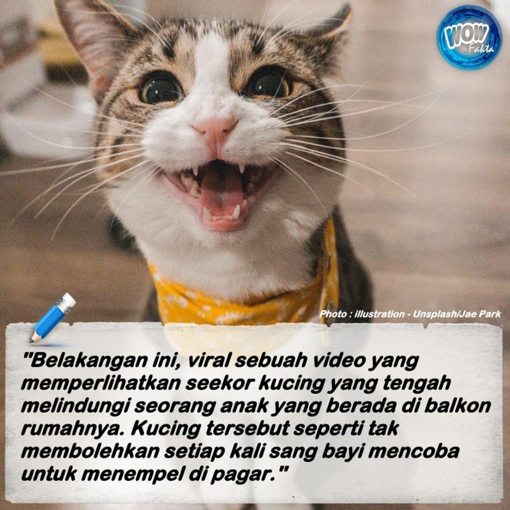 FAKTA WOW u0026 BERITA INDONESIA @WOWFAKTA Timeline, The Visualized