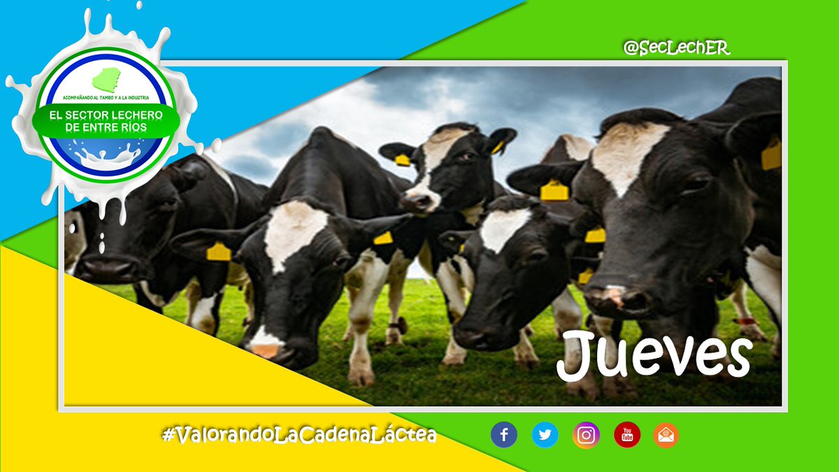 seclech_er's tweet image. Jueves 🐮🐄🥛🧀😉
Teniendo en cuenta las buenas prácticas relativas a la sanidad animal, sabían que todos los animales deben estar identificados de acuerdo a la normativa de SENASA, resolución n.° 754/06. Más info. 👇 facebook.com/SecLechER/phot…