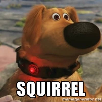 free_sample97's tweet photo. me anytime I see a fellow human move or say anything in our mostly empty office https://t.co/mfwbibWDCB