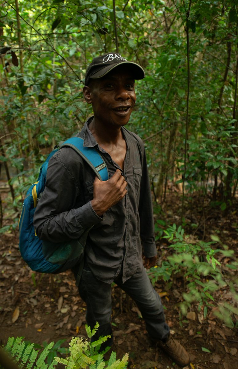 But the real secret to finding these tiny Brookesia is working with the experts. This man, Angeluc Razafimanantsoa, a guide who works mostly in Montagne d'Ambre National Park in the north of Madagascar, is the absolute master. We hire him to come with on most expeditions (11/21)