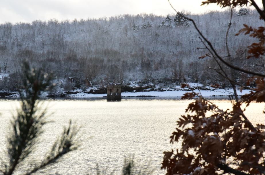Rural Cebollera, Urbión y Cameros tweet media