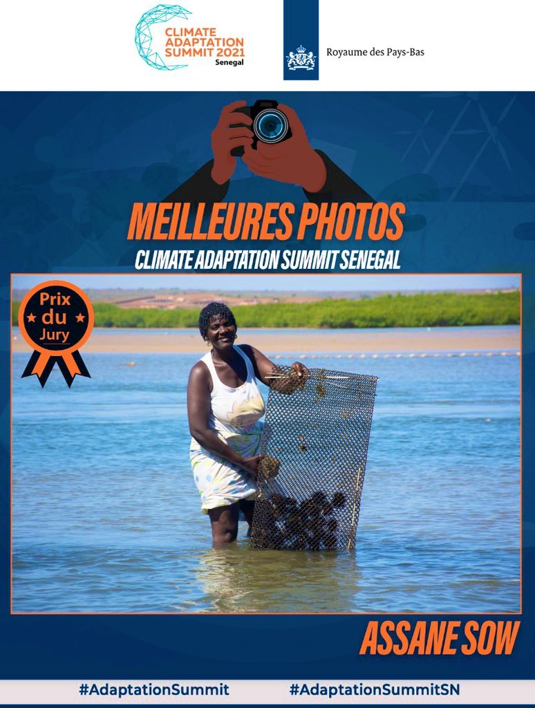 NLinSenegal's tweet photo. 🏆Gagnants du concours photo 📸 sur l'adaptation aux changements climatiques organisé par @NLinSenegal  en marge du @CASsummit2021: Les 2 Prix du Jury sont décernés à Assane_Sow [candidat 45] et à Ndoumbé Niang [41]. Prix du public: Boubacar Demba Baldé [12].
#AdaptationSummitSn https://t.co/qJCXrVbsQL