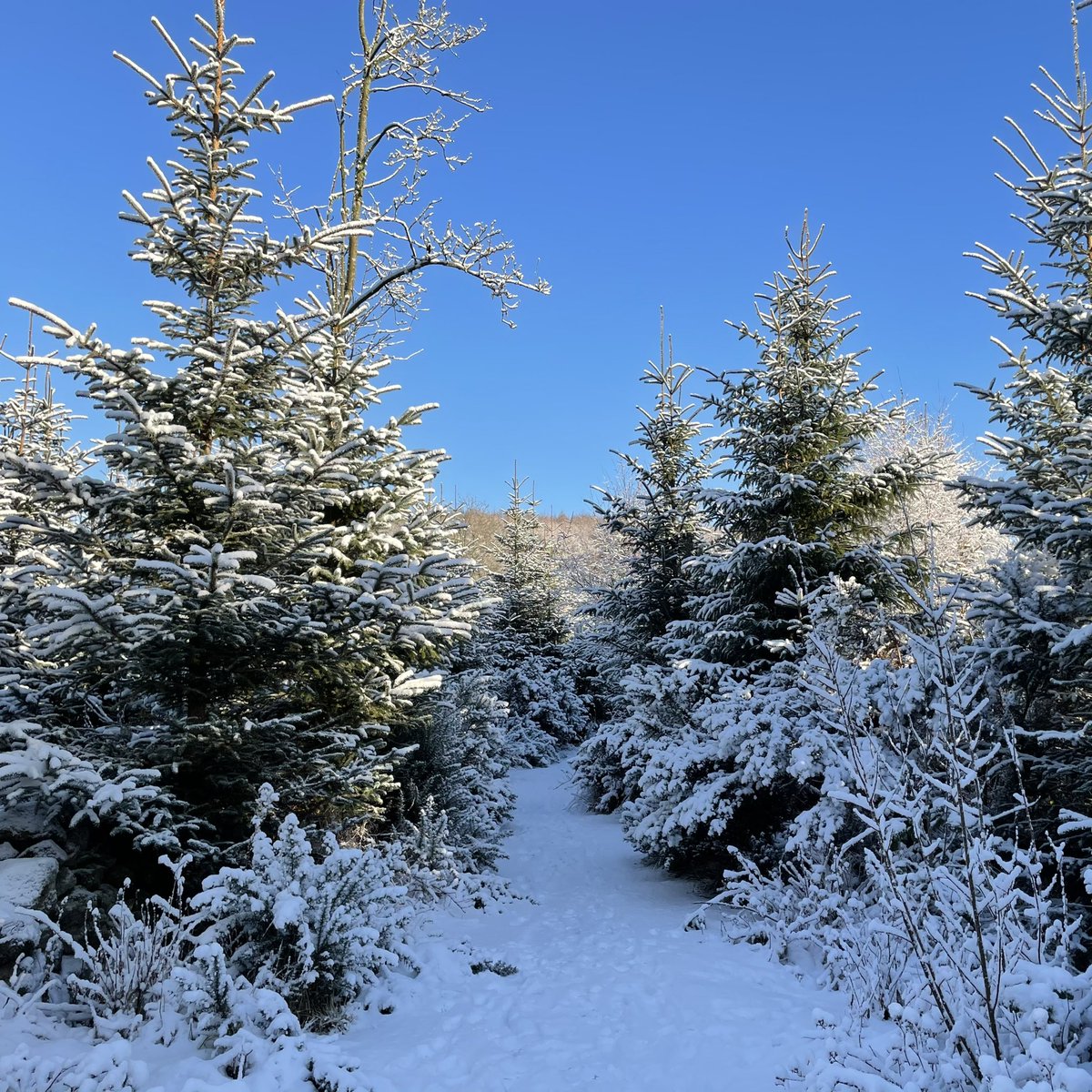 We recorded a specially commissioned arrangement of the <a href="/BBCSpringwatch/">BBC Springwatch</a> theme for tonight’s episode of Winterwatch. Arranged by <a href="/stevepycroft/">Steve Pycroft</a> 
Tune in at 8pm tonight On <a href="/BBCTwo/">BBC Two</a> to hear it and see us in action! #Winterwatch #soundscapesforwellbeing