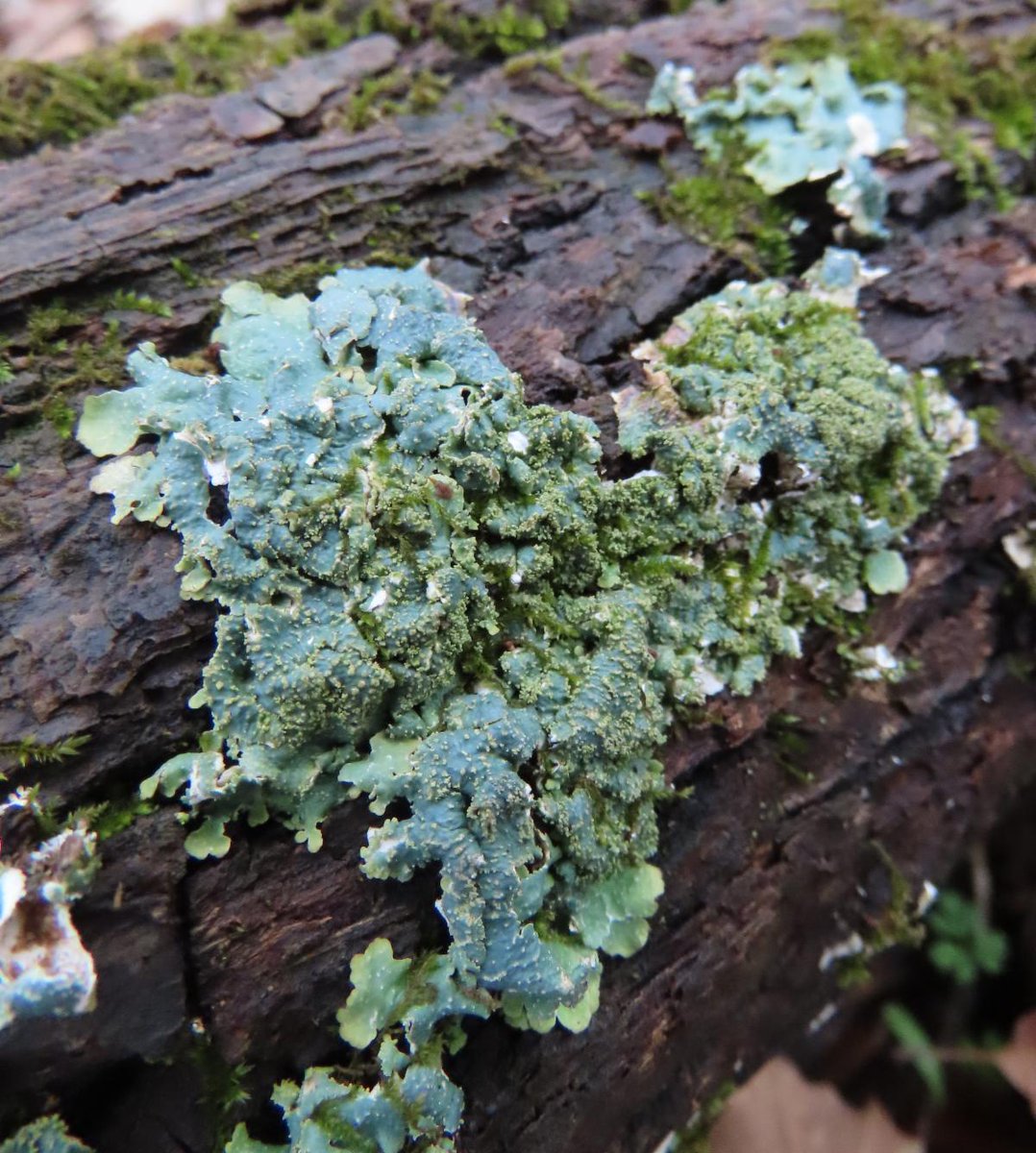 Beat the Winter Doldrums with these Events conta.cc/3oq7fR7