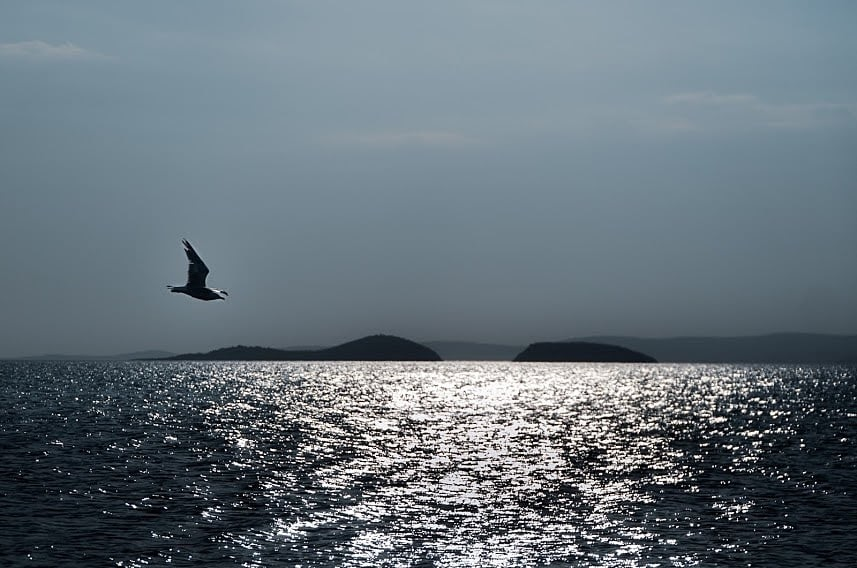 Bununla 3 oldu. 
3. kez Bilirkişi Heyeti geldi, raporunu sundu ve "olumsuz" dedi. 
Daha ne denmesi ve kaç kez denmesi gerekir ki? 
BOTAŞ bu körfeze yakışmıyorsun!
#savesaros #sarosumadokunma