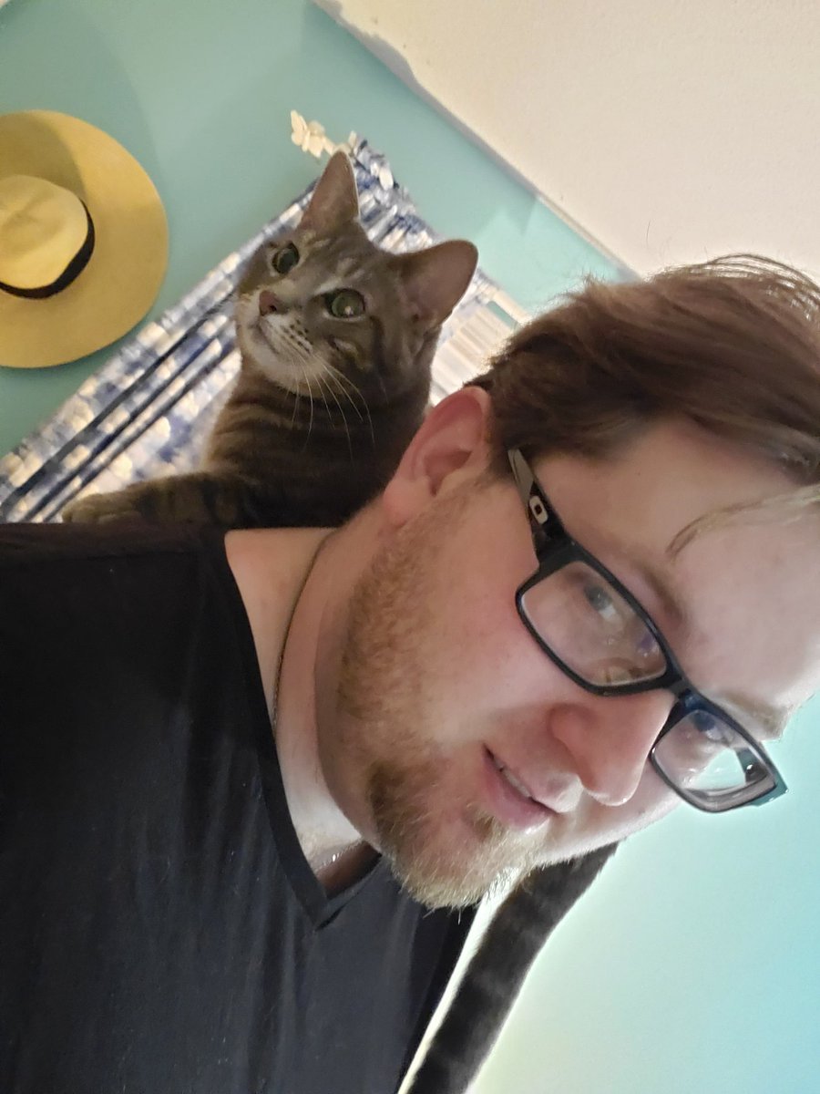Nikkorien's tweet photo. @SplattrCatGames My shoulder cat. Artemis https://t.co/19b631XDYY