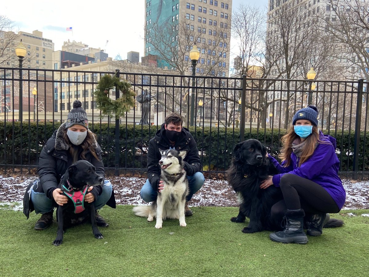 FueledByGSTV's tweet photo. The GSTV pups are gearing up for The Big Game's Pupcast! Will they pick the @Chiefs or the @Buccaneers as the winner? Keep your eyes peeled for their predictions next week! #fueledbygstv #thursdayfursday #pupcast #puppypredictions #thebiggame https://t.co/aTlNjU8xhC