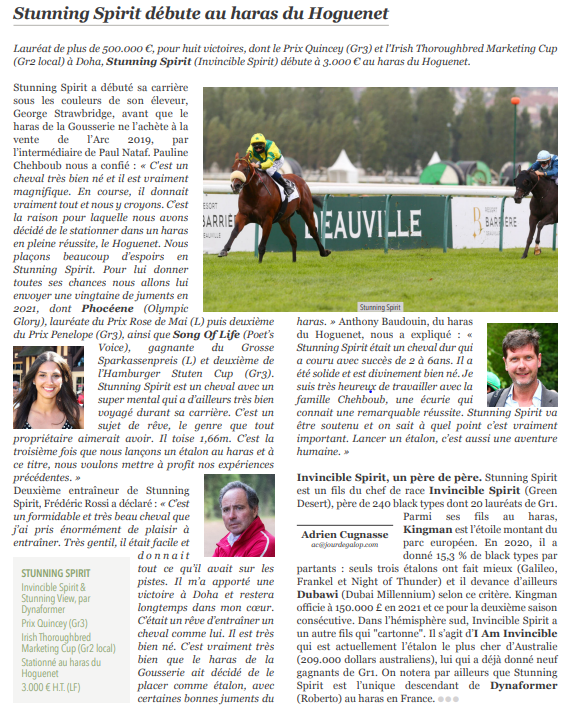 Fedeeleveurs's tweet photo. 🧐 [NOUVEAUX ETALONS 2021] 🧐
Par @Jour_de_Galop 
Nous vous présentons aujourd'hui STUNNING SPIRIT, fils de #InvincibleSpirit &amp; Stunning View, par #dynaformer du @harasduhoguenet 
.
#newstallion #stallions21 #nouveauxetalons #Etalons21 #rde21 https://t.co/JXou98I2aJ