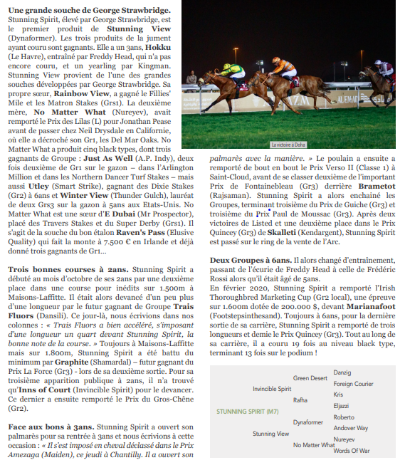 Fedeeleveurs's tweet photo. 🧐 [NOUVEAUX ETALONS 2021] 🧐
Par @Jour_de_Galop 
Nous vous présentons aujourd'hui STUNNING SPIRIT, fils de #InvincibleSpirit &amp; Stunning View, par #dynaformer du @harasduhoguenet 
.
#newstallion #stallions21 #nouveauxetalons #Etalons21 #rde21 https://t.co/JXou98I2aJ