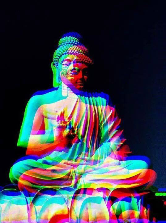 GuignolsBand's tweet image. Understanding is the heartwood of well-spoken words. 

Buddha