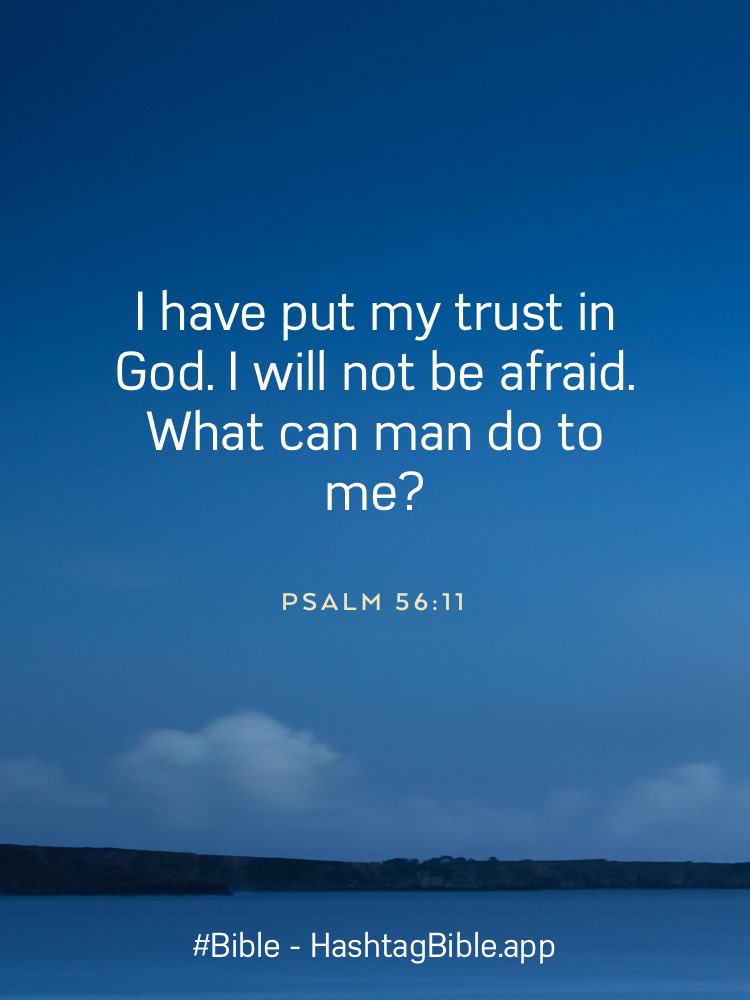 ChanksRed's tweet image. 