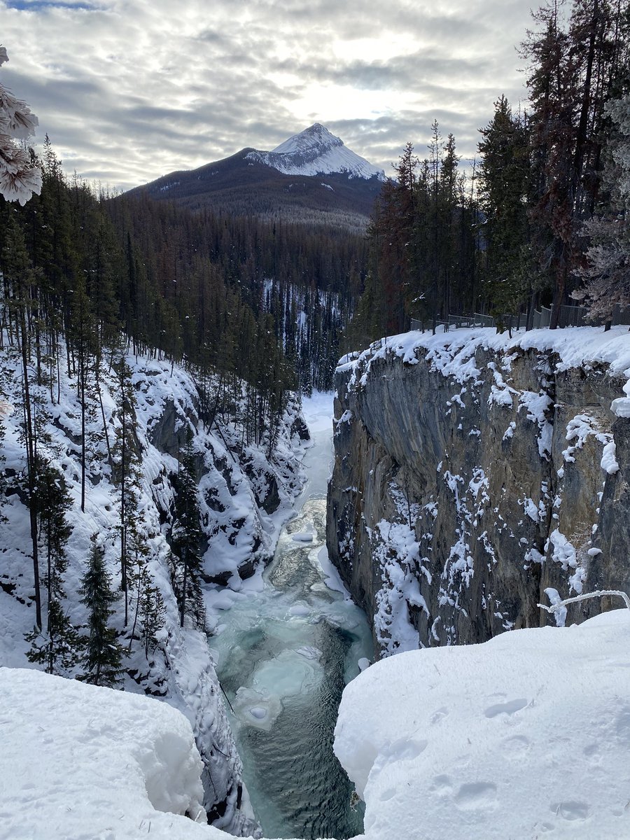 jesslew18's tweet photo. @CAFinUS Jasper this past weekend #BellLetsTalk https://t.co/g02iiRrw5e