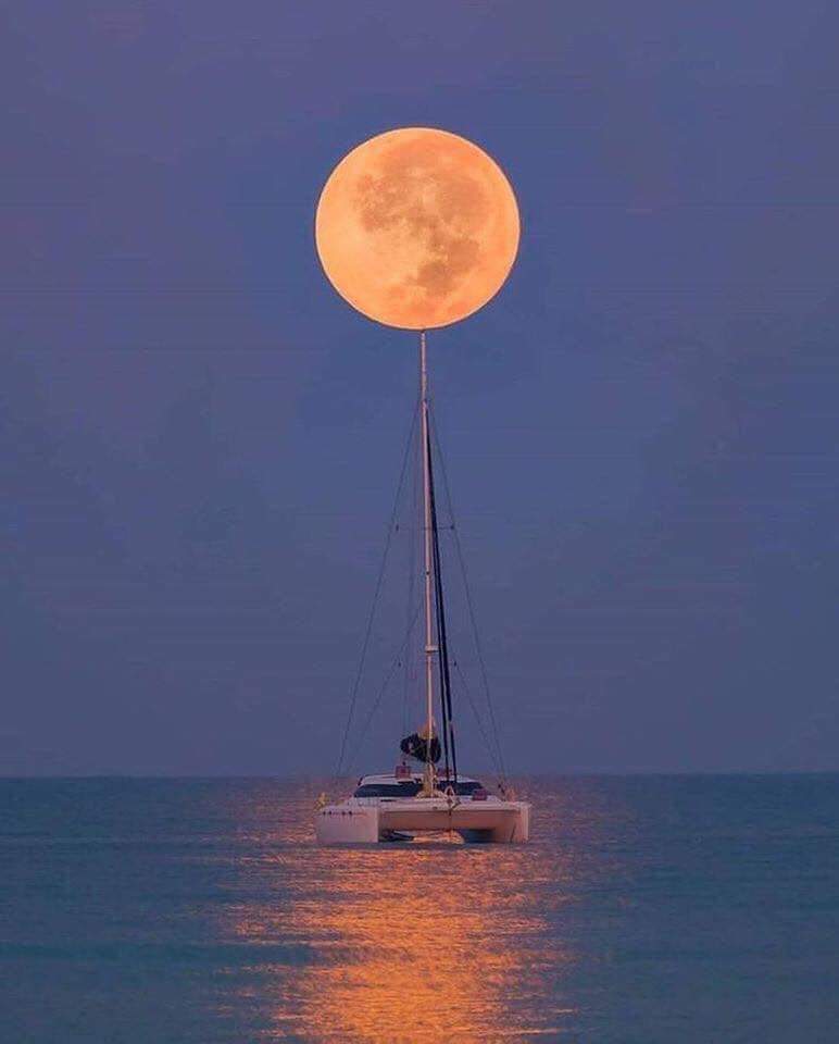 MonicaDrie's tweet photo. Lovely evening Followers 🌃🌃 https://t.co/tNayN4nZeF