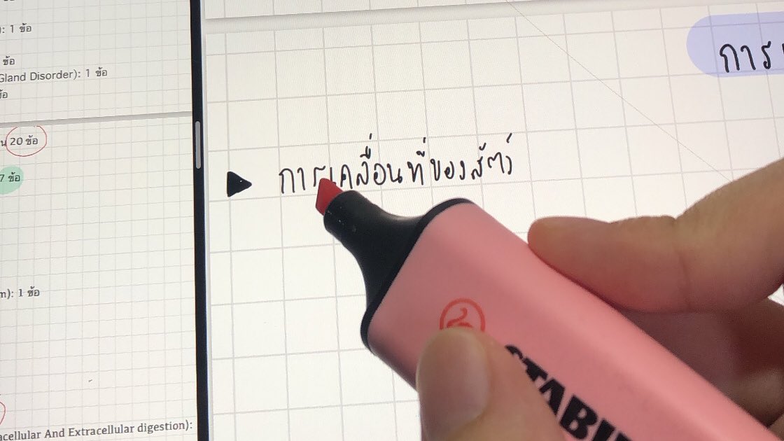 ขั้นกว่าของซูมกระดาษ เอา apple pencil เขียนกระดาษ เคาะปากกาสองครั้งเปลี่ยนเป็นยางลบ ลากปากกาค้างบนกระดาษรอเส้นตรง 🆕ล่าสุดกุเอาไฮไลท์เตรียมเน้นไอแพดแล้วค่ะ ขอบคุณ
