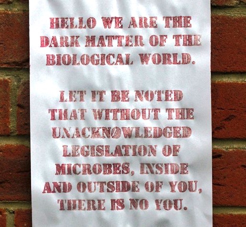 A bit of bacterial guerrilla propaganda to highlight their importance for all other life. The "red paint" is actually the living and red pigmented Serratia saracens.