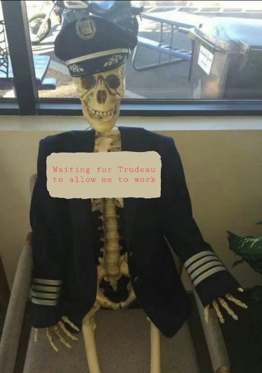 2/These lockdowns have effectively reduced the pilots from 689 to 34, the flight attendants from 1950 to 63.This pinnacle of the success of entrepreneurship, which thrived and survived 33 years of take-offs & landings, has been bleeding out for a year.