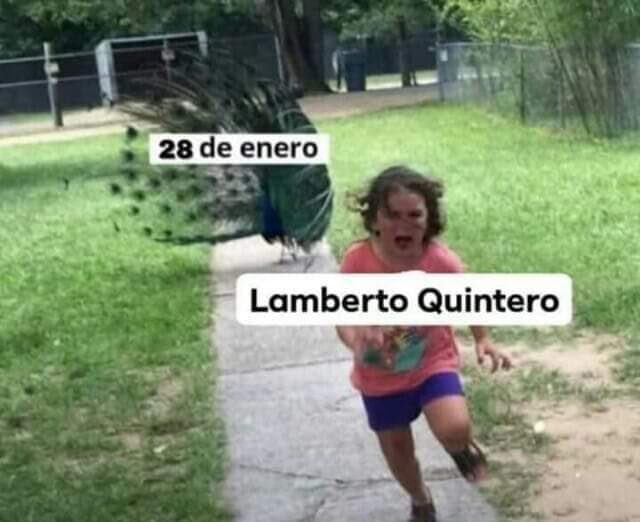 corridosybandas's tweet photo. 😅 https://t.co/8kWN51r8Py