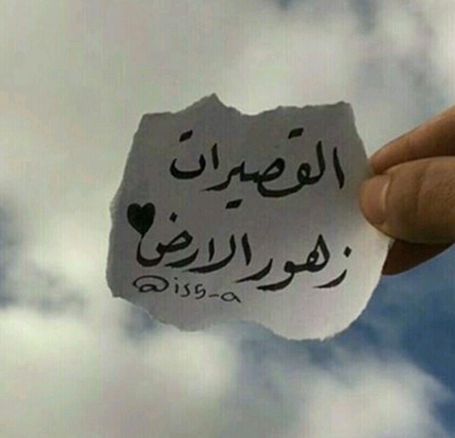 أكثر وحدة مبسوطة بالشتاء
هي البنت القصيرة
بتلف البطانية عليها مرتين
كنها ورق عنب 
😅🚶🏻‍♀️🚶🏻‍♀️🚶🏻‍♀️🚶🏻‍♀️

#القصيرات_ولا_الطويلات