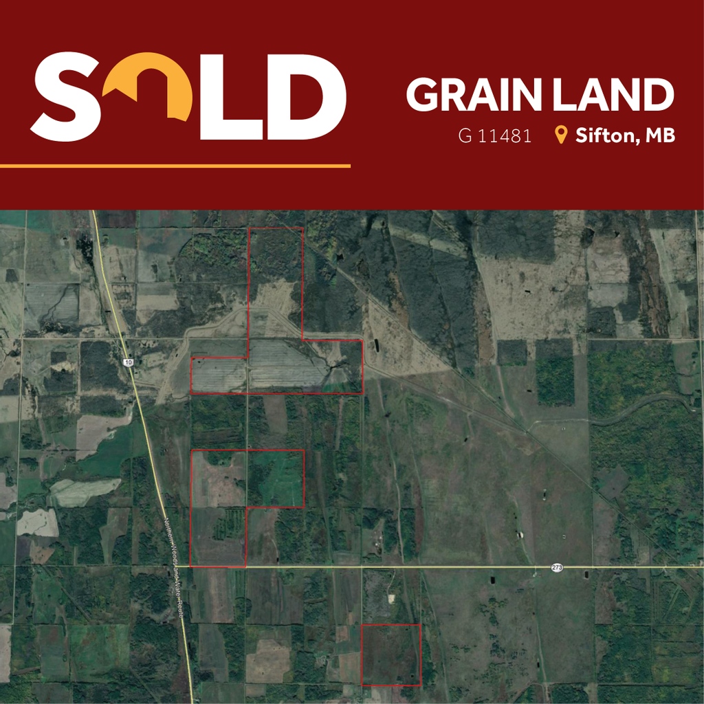 Farm_Division's tweet photo. SOLD! Grain Land 
G 11481
Near Sifton, MB

#YourFarmTeam #WeSellFarms #MBFarm #CanadianFarm #CanadianFarming https://t.co/AzXZQ5CsN2
