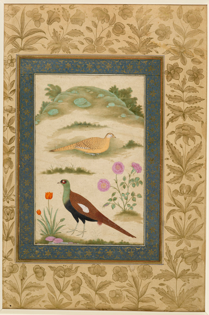 BL_VisualArts's tweet photo. Anyone taking part in the #BigGardenBirdWatch? 

Here’s a #bird themed jigsaw #puzzle of a pair of pheasants in a flowering landscape, from the Dara Shikoh Album, 1630-1640

https://t.co/6FHqrHhFgK 

British Library Add Or 3129 #LibraryPuzzle https://t.co/oU6u4F6ngN