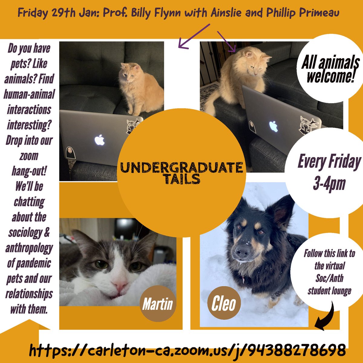 CUSocAnth's tweet image. Do you have any pets? Like animals? Find human-animal interactions fascinating? Join our Zoom hangout, "Undergraduate Tails," tomorrow (Friday) at 3PM to chat about pandemic pets and our relationships with them. Details: carleton.ca/socanth/cu-eve…