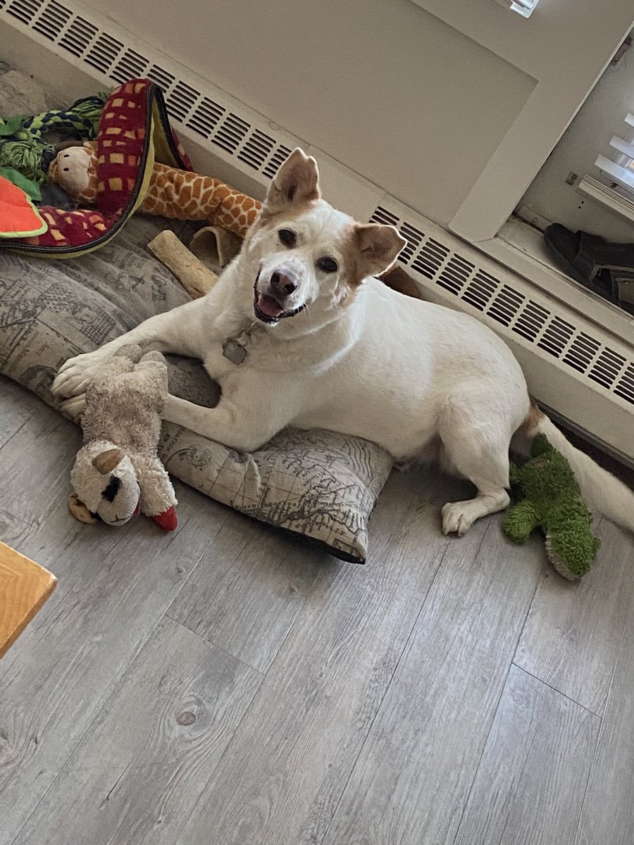 It gave me the confidence to be a truer version of myself. He showed me that even *I* deserved to be happy. It was the motivation I needed to jump out of the closet. [3/6] #BellLetsTalk  