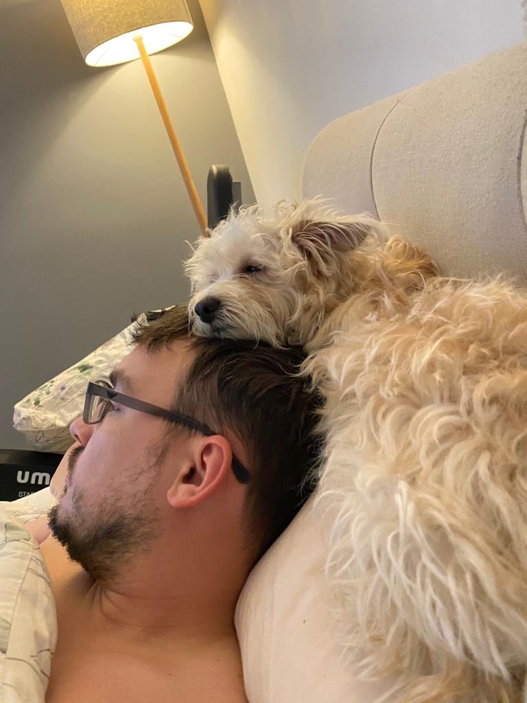 SWphc3's tweet image. Amazing that he uses me as a pillow every night 😁