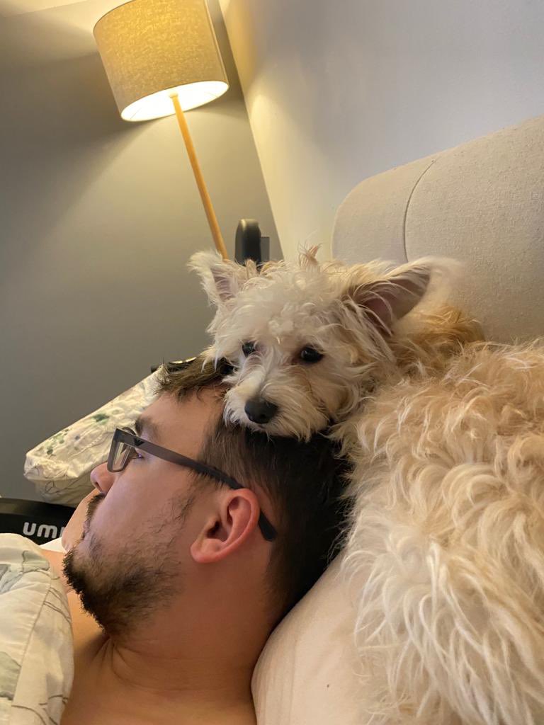 SWphc3's tweet image. Amazing that he uses me as a pillow every night 😁