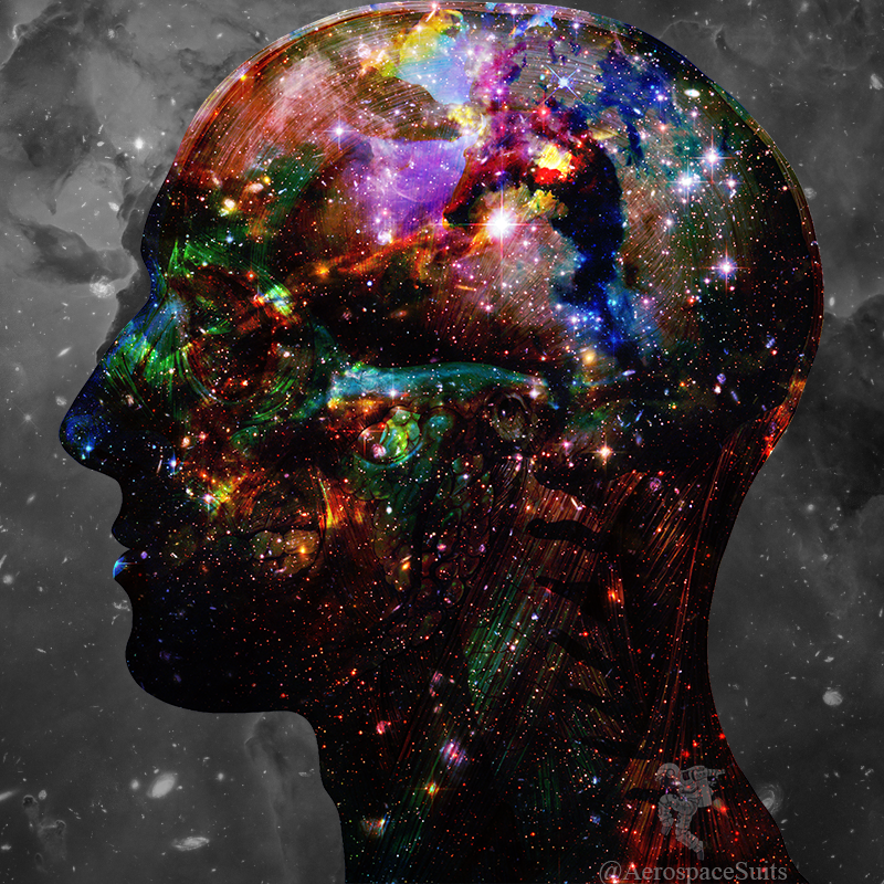 AerospaceSuits's tweet photo. Dream of stars with our Celestial Head Anatomy T-shirt. 

Nude -> https://t.co/p5oqDlwGhQ

Blue -> https://t.co/PRUNU6HQ3F

#hubblespacetelescope #skull #anatomy #spaceart #spacefashion #medicalillustration #starbrain #brains #stars #galaxy #galaxies #dreamofstars #thinkpositive https://t.co/UHg1P9AGCW